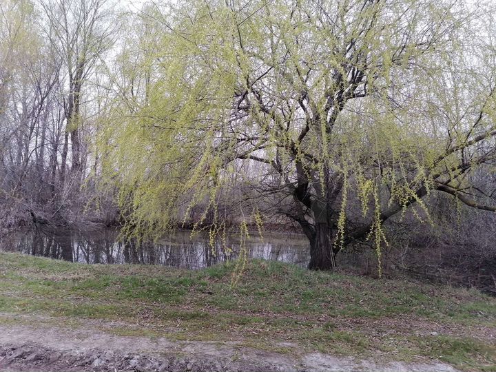 Дом 52,1 м² на участке 14,5 сот.