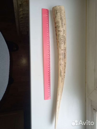 Клык Моржа (Имитация)