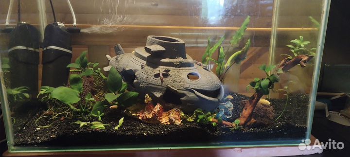 Аквариум с рыбками