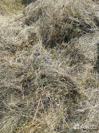 Корм для скота