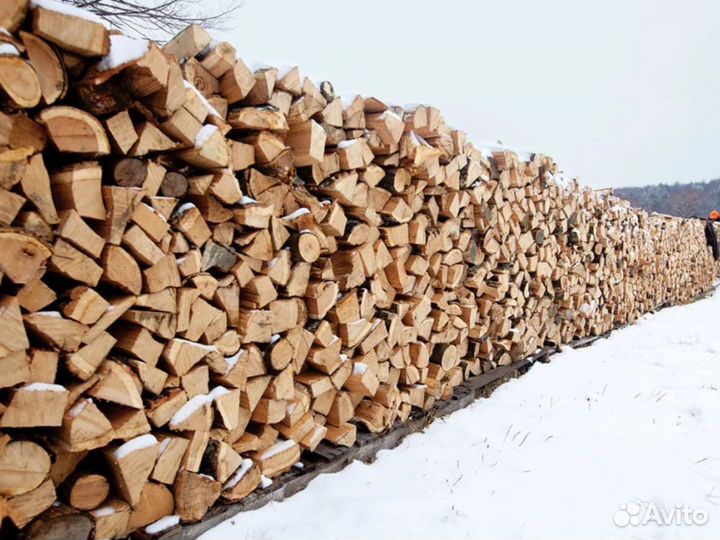 Дрова осиновые