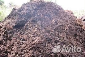 Перегной с доставкой