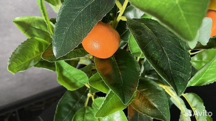 Искусственное дерево (лимон, мандарин)