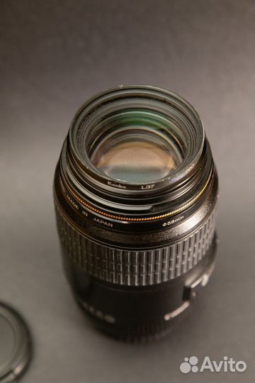 Canon 100mm 2.8 macro