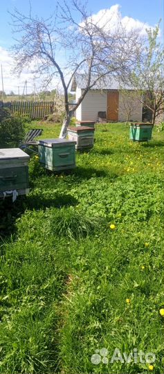 Ульи для пчел