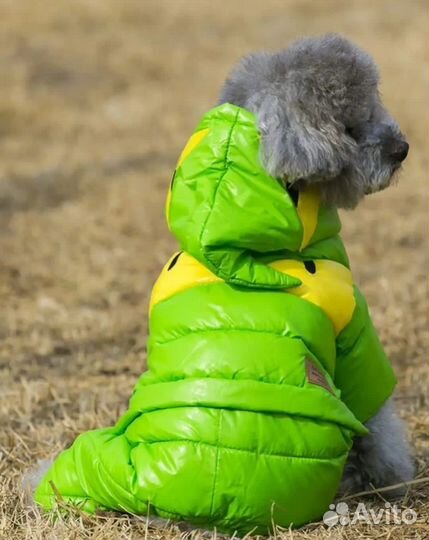 Комбинезон для собак мелких пород