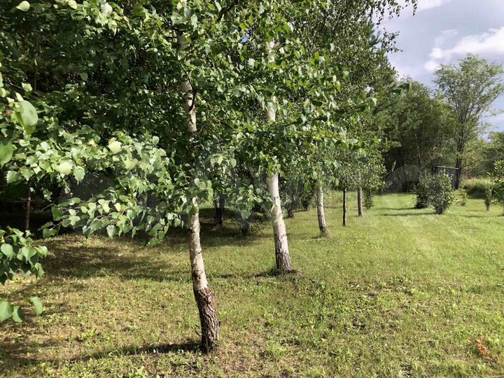 Участок 154,33 га (СНТ, ДНП)