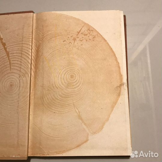 Производство технологической щепы