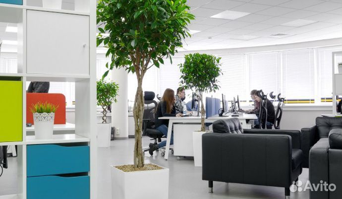 Озонирование коммерческих и жилых помещений