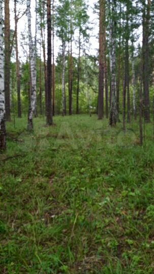 Участок 1,77 га (ИЖС)