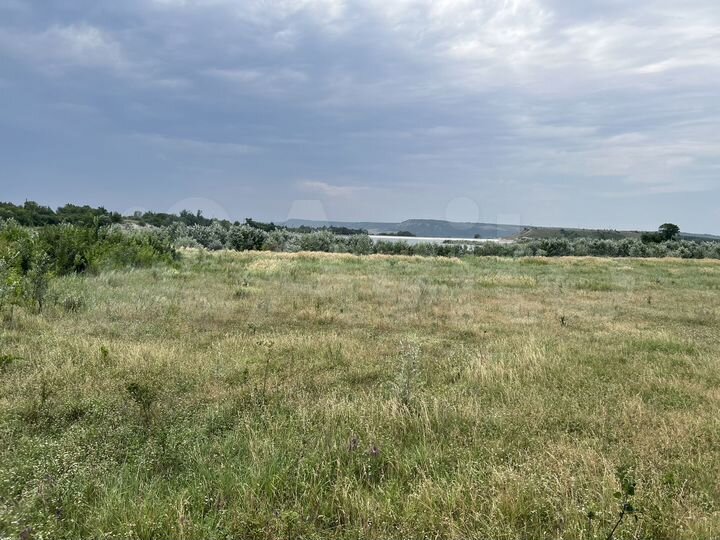 Участок 49,6 сот. (СНТ, ДНП)