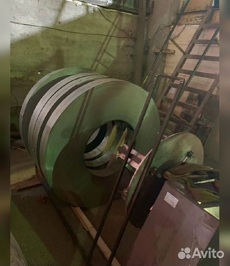 Колючая проволока егоза