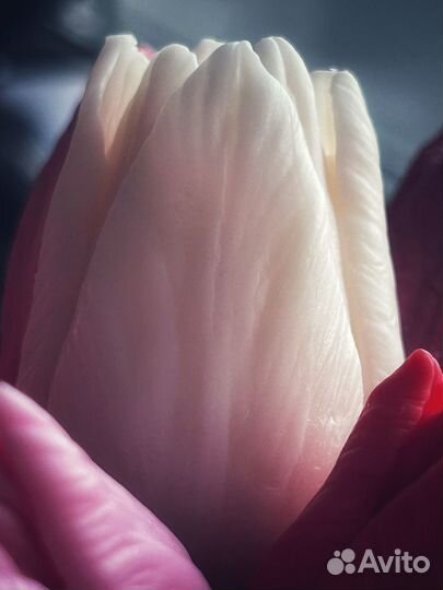 Свечи цветы