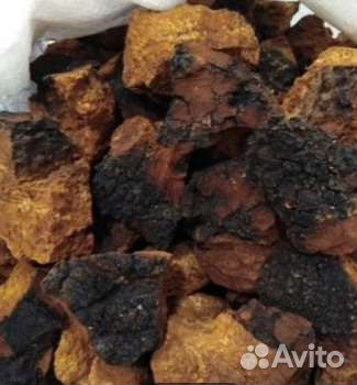 Берёзовый гриб Чага можно кусками