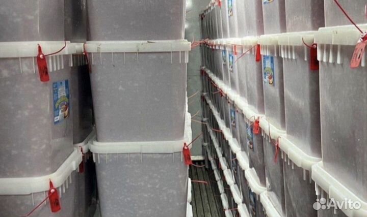 Икра кеты оптом Камчатка