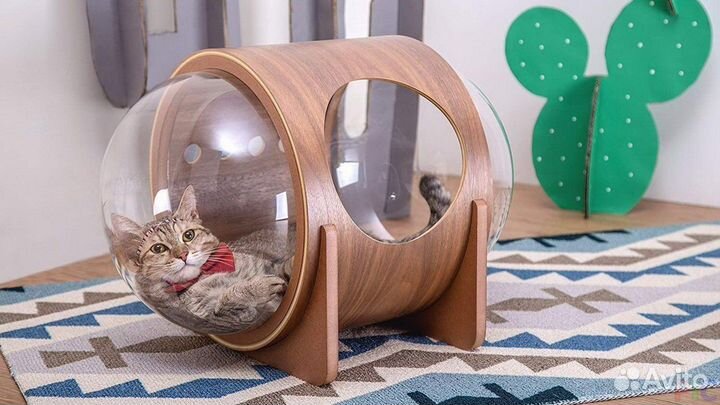 Мебель, домик для кота / кошки, стол офисный