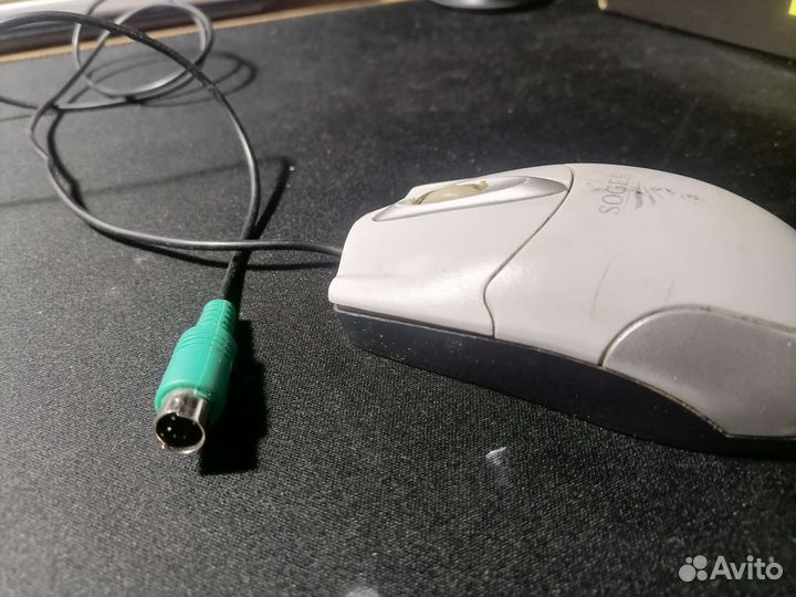 Мышка обычная