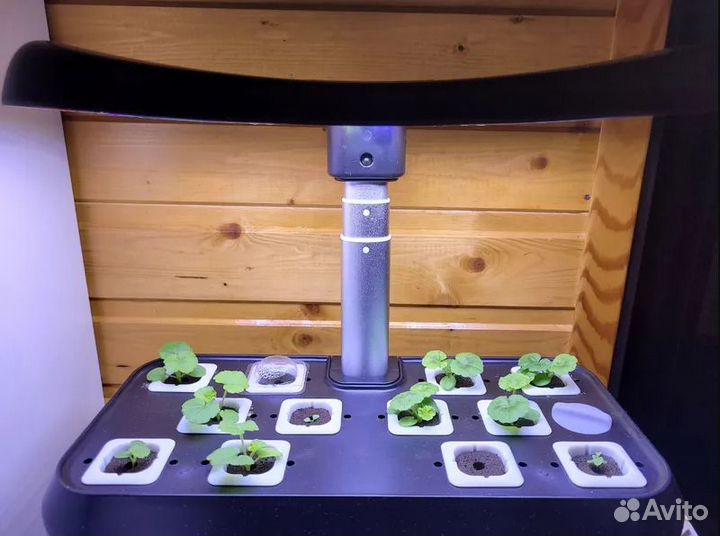 Умный сад / Проращиватель / Гидропонная установка
