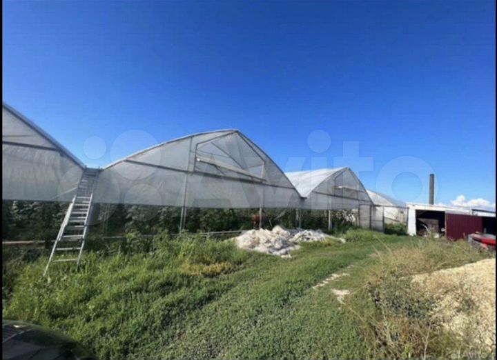 Участок 85 сот. (СНТ, ДНП)