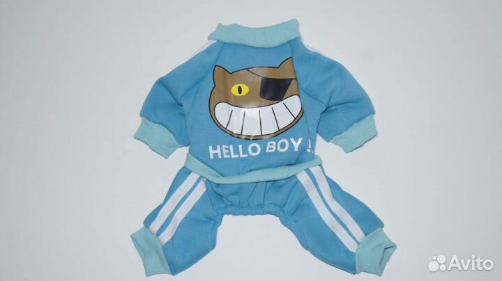 Одежда для маленьких собак