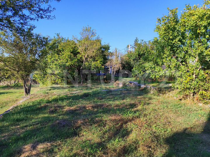 Участок 4,31 га (СНТ, ДНП)