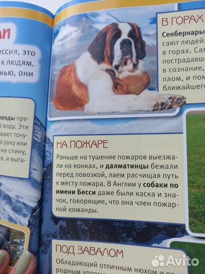 Энциклопедия про собак