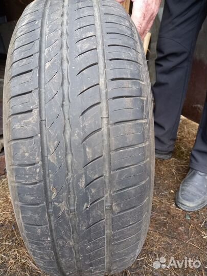 Bridgestone Blizzak WS-50 195/65 R15