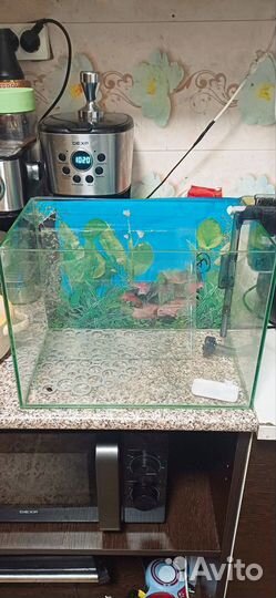 Аквариум