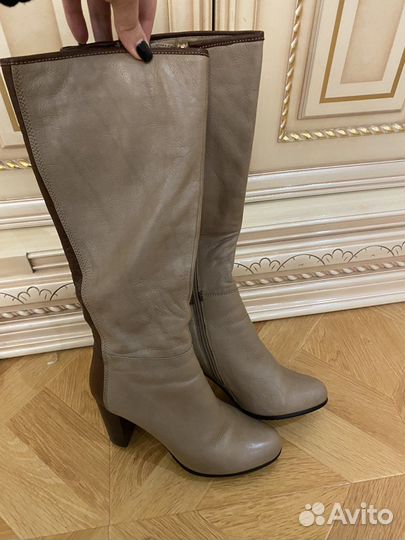 Сапоги демисезонные