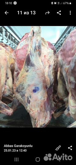 Мясо говядина оптом