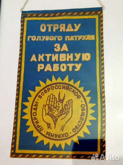 Пионерский вымпел голубой патруль активная работа