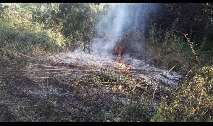 Участок 40 сот. (СНТ, ДНП)