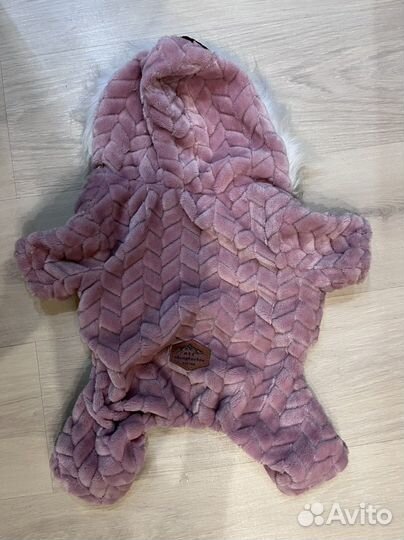 Одежда для собак