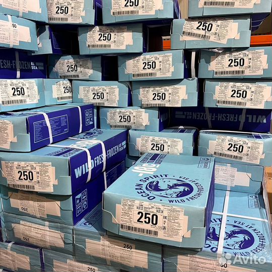 Креветка мурманская