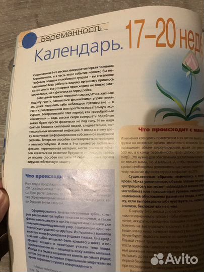 Беременность и роды