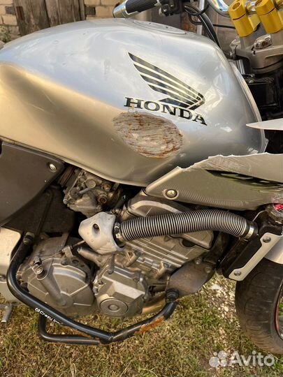 Honda cb600s hornet