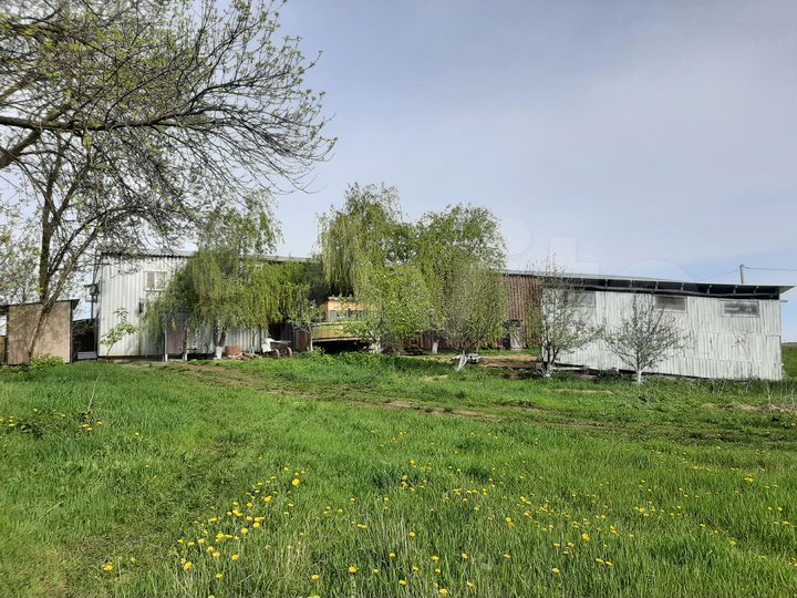 Свободного назначения, 592.3 м²