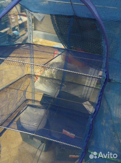 Сушилка для рыбы мяса фруктов грибов