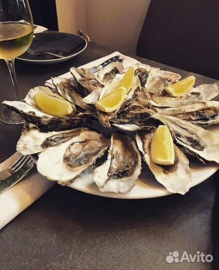 Устрицы