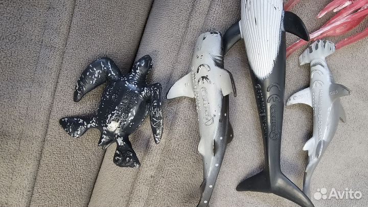 Коллекция морских обитателей