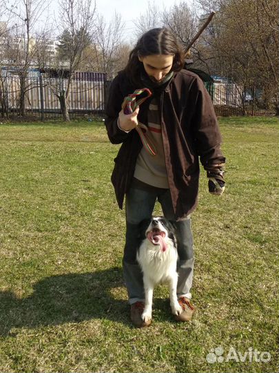 Выгул собак (большой опыт) Дрессировка, Коррекция