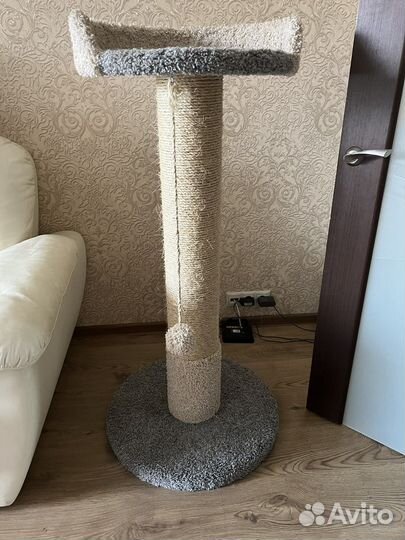 Когтеточка для кошек