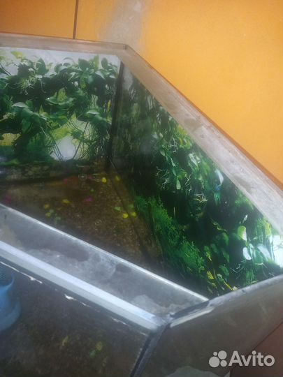 Аквариум 150 л