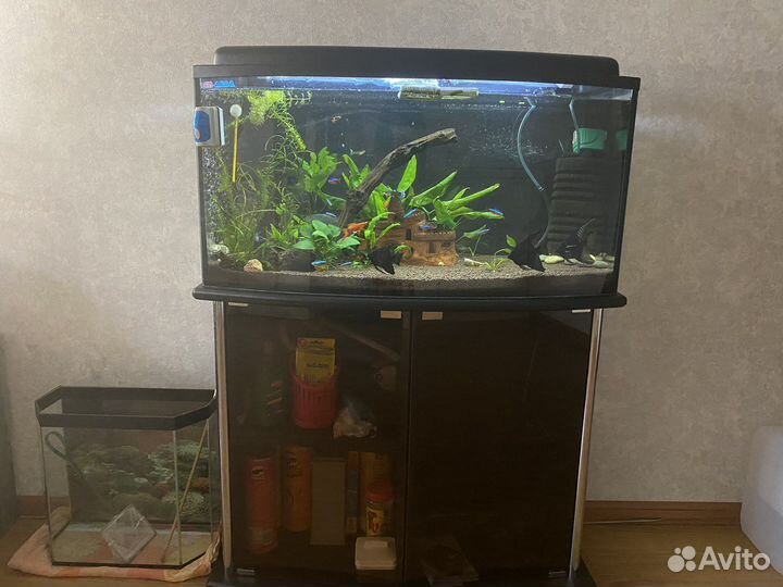 Аквариум
