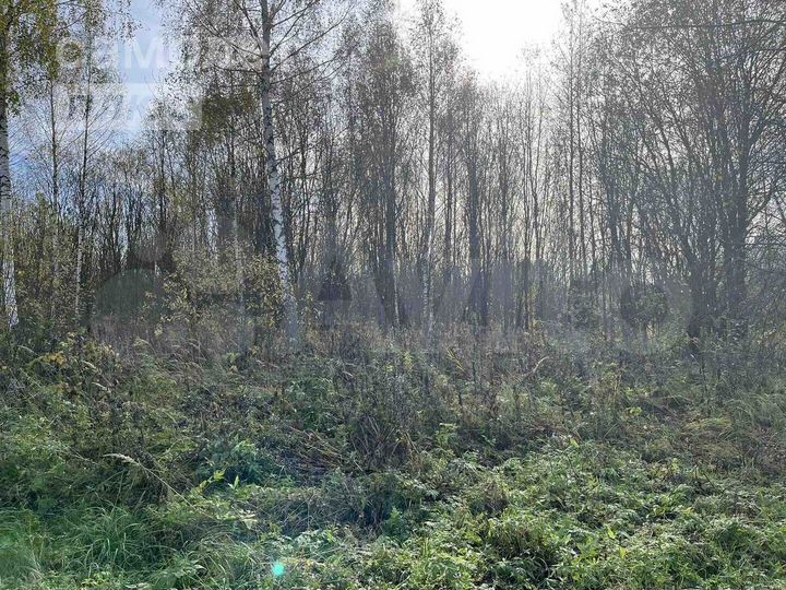 Участок 23,7 сот. (ИЖС)