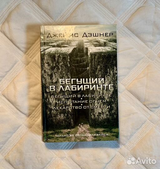 Книга «Бегущий в лабиринте»