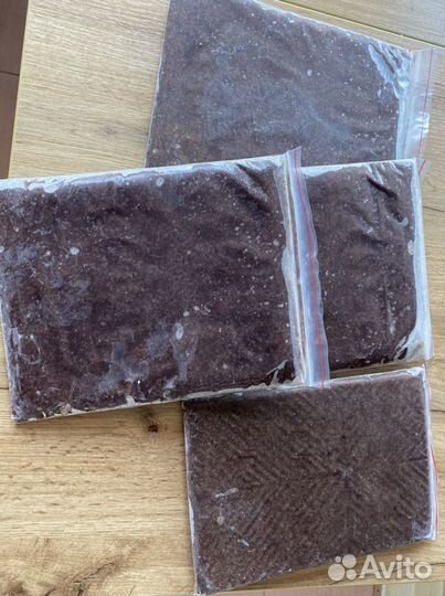 Артемия, морской мотыль заморозка, доставка