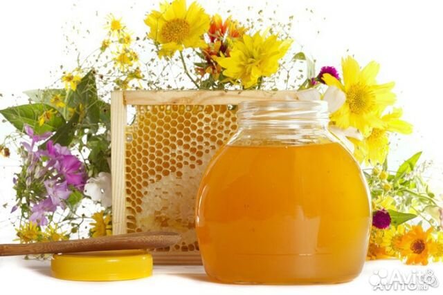 Мёд натуральный разнотравный (3 литра) с доставкой