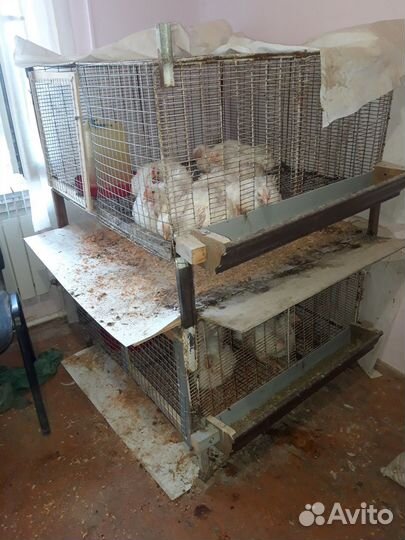 Продам клетки для бролеров