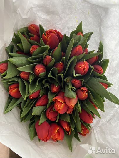 Тюльпаны к 8 марта оптом и в розницу